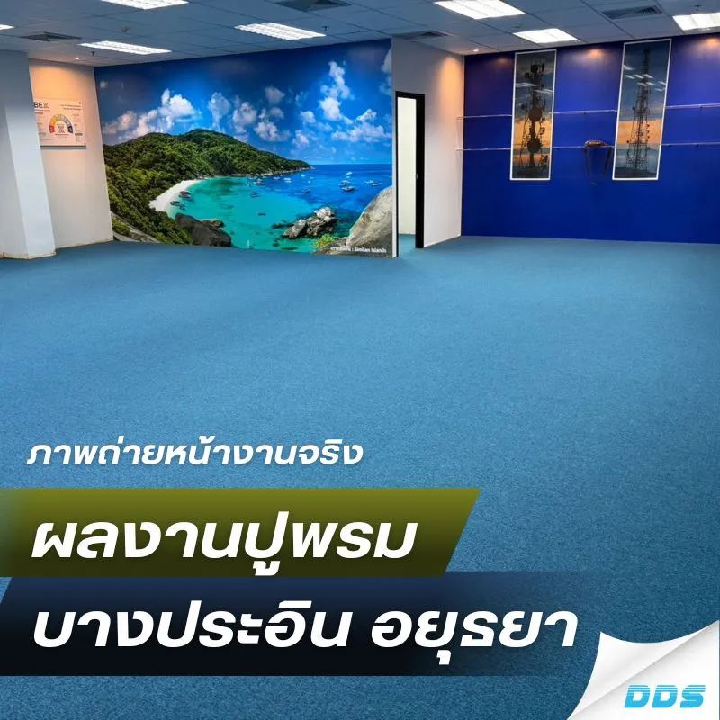ผลงานปูพรม บางประอิน-อยุธยา